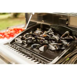 Napoleon Gusseisen-Bratpfanne -Gartenmöbel Geschäft 857266 5